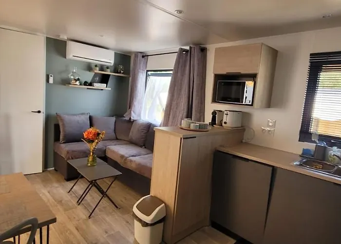 Mobile-home Au Coeur Des Landes 度假居 Herm